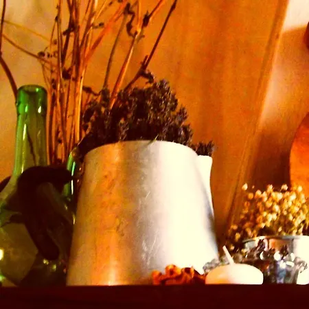Bed & Breakfast Le Civette