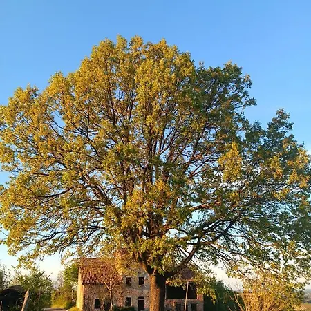 Le Civette * San Damiano al Colle